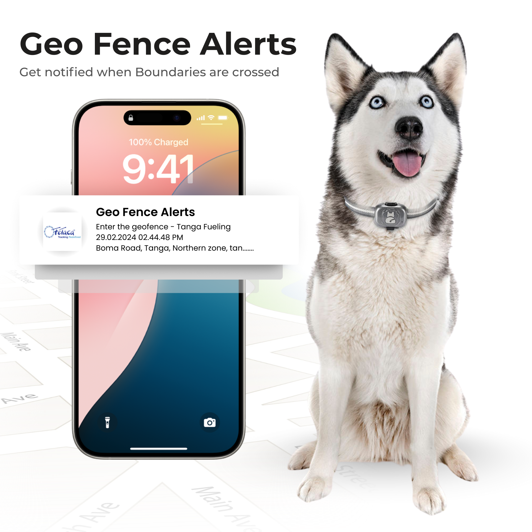 FeTaca G16 Smart 4G GPS Waterproof Mini Collar Tracker with Free 12 Month Tracking & App Subscription for Dogs and Cats (Grey)