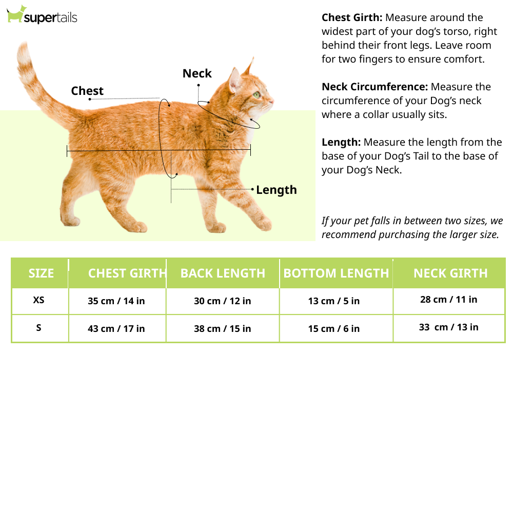 Pawsindia Round Neck Indian Cricket Jersey for Cats