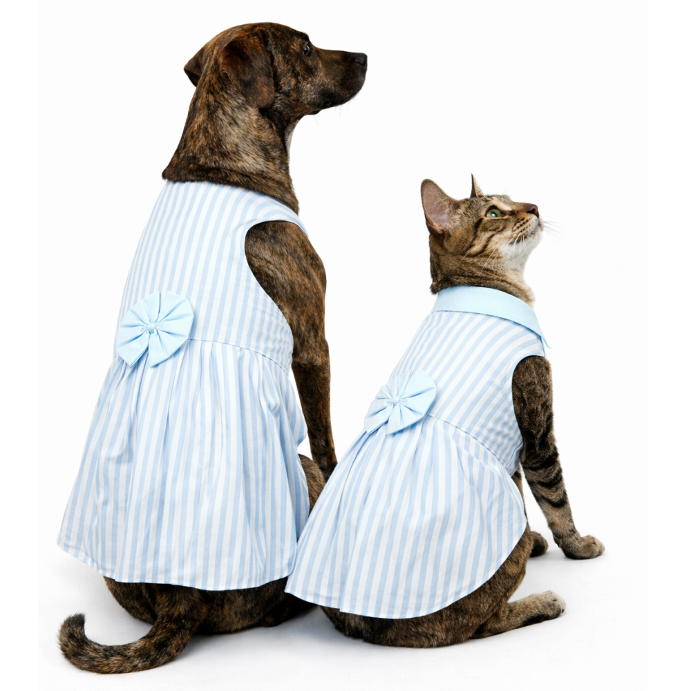 Skatrs Cotton Dress for Dogs and Cats (Blue and White Stripe)