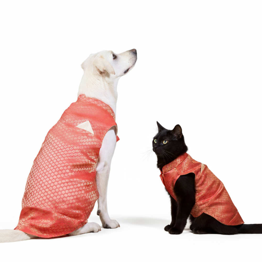 Skatrs Brocade Gold Printed Sherwani for Dogs and Cats (Red)