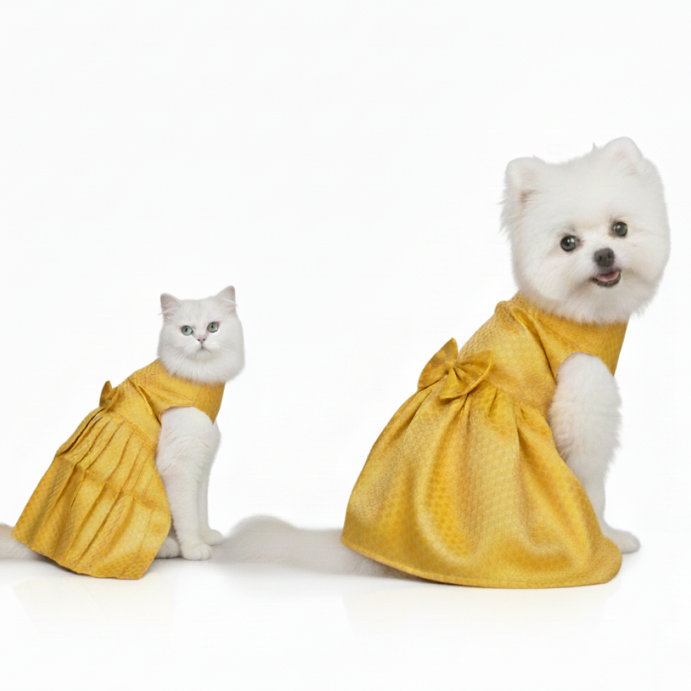 Skatrs Brocade Gold Printed Dress for Dogs and Cats (Yellow)