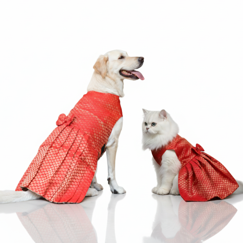 Skatrs Brocade Gold Printed Dress for Dogs and Cats (Red)