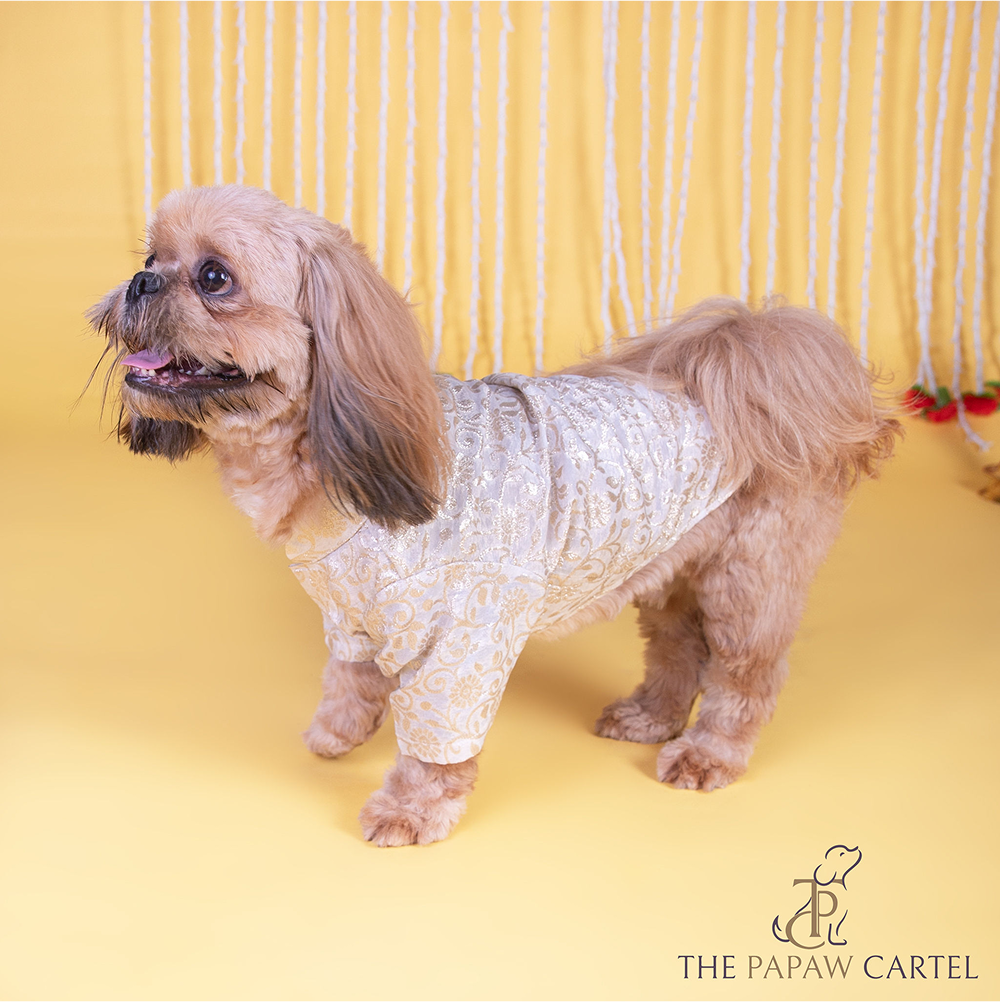 The Papaw Cartel Ivory Banarasi Work Kurta for Dogs & Cats