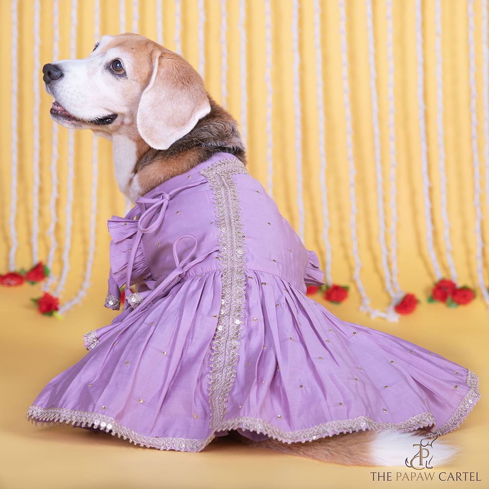 The Papaw Cartel Embroidered Indian Angarkha for Dogs & Cats (Lilac)