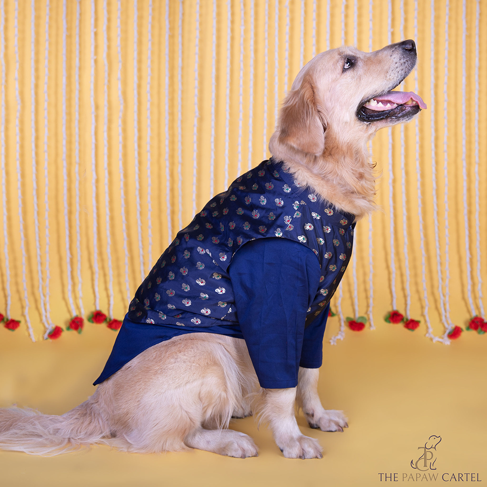 The Papaw Cartel Minakari Butti Traditional Koti Kurta for Dogs & Cats (Midnight Blue)