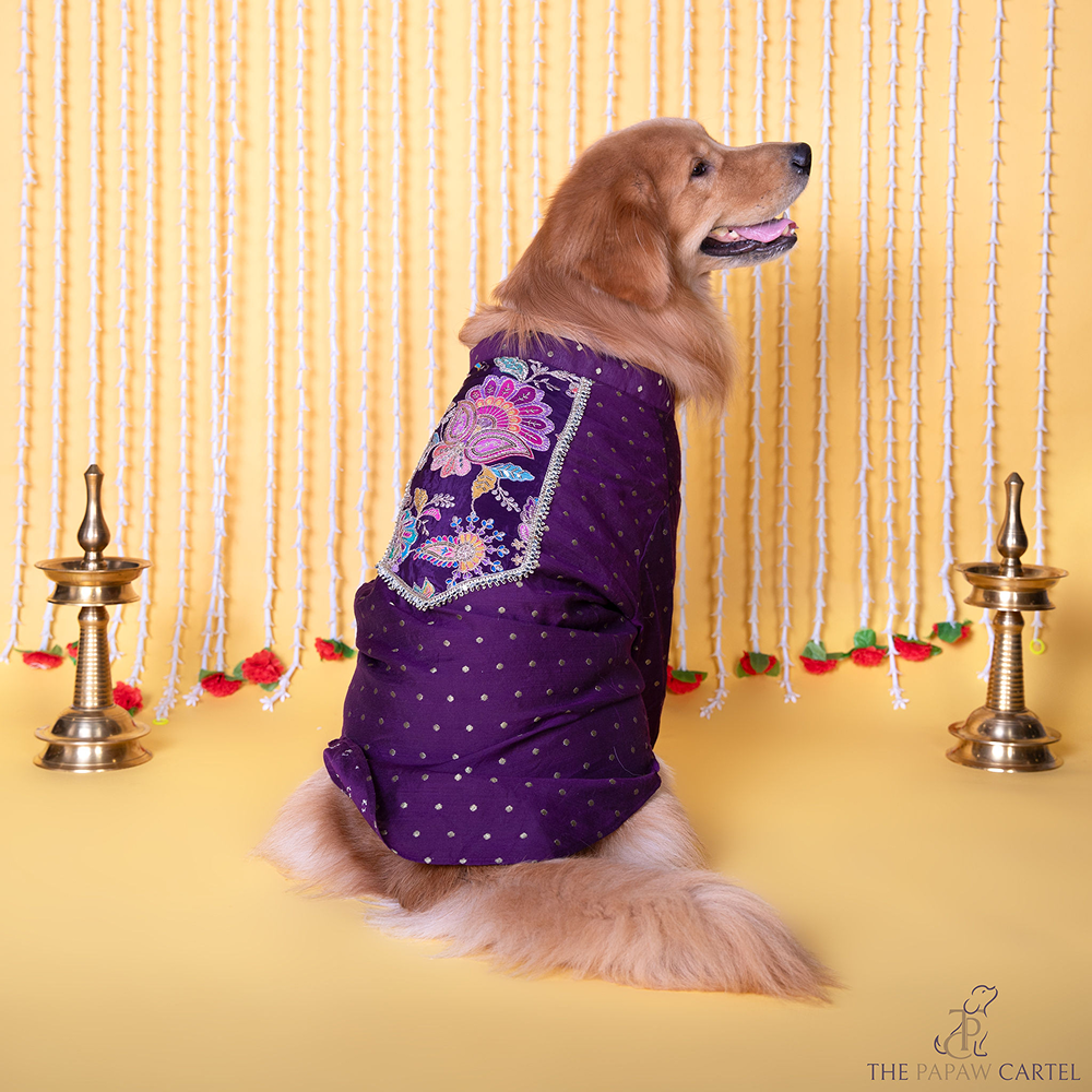 The Papaw Cartel Indian Motif Embroidered Kurta for Dogs & Cats (Purple Paisley)