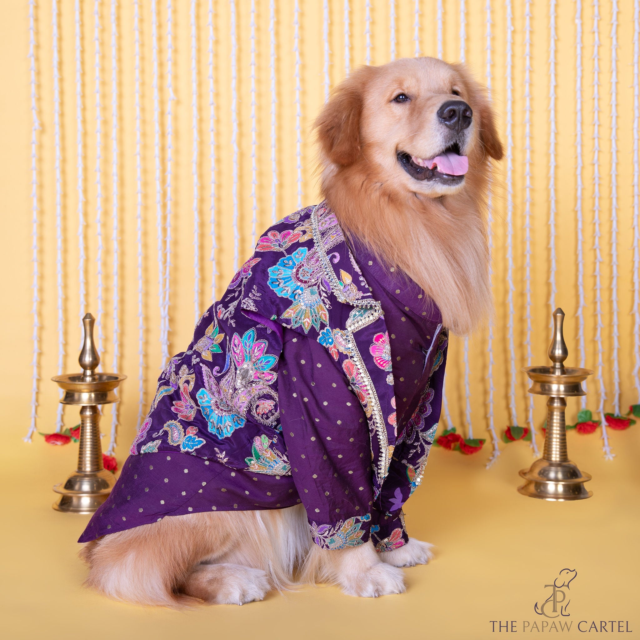 The Papaw Cartel Embroidered Motif Jacket Style Koti Kurta for Dogs & Cats (Purple Paisley)