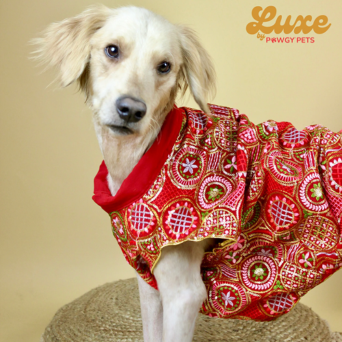 Pawgypets Luxe Embroidered Kurta for Dogs and Cats (Red)