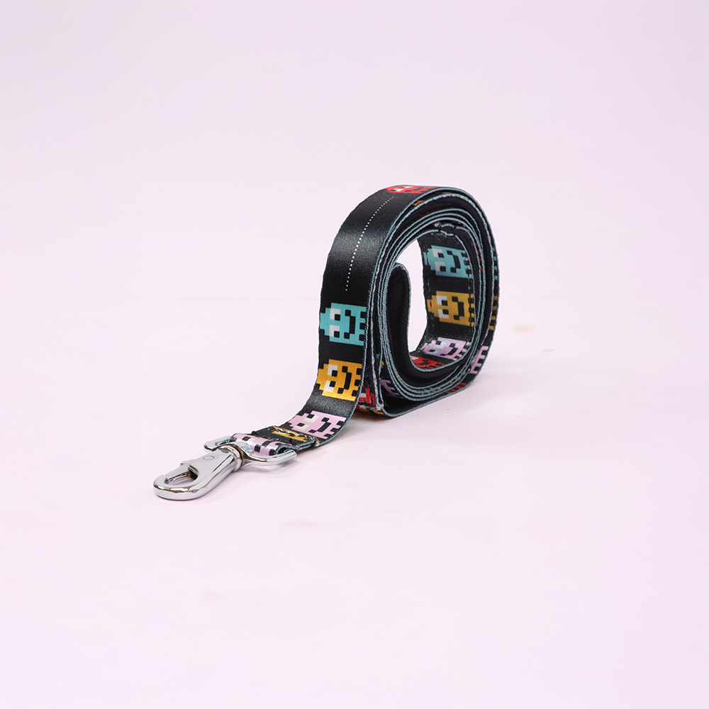 Skatrs Arcade Mood Leash for Dogs