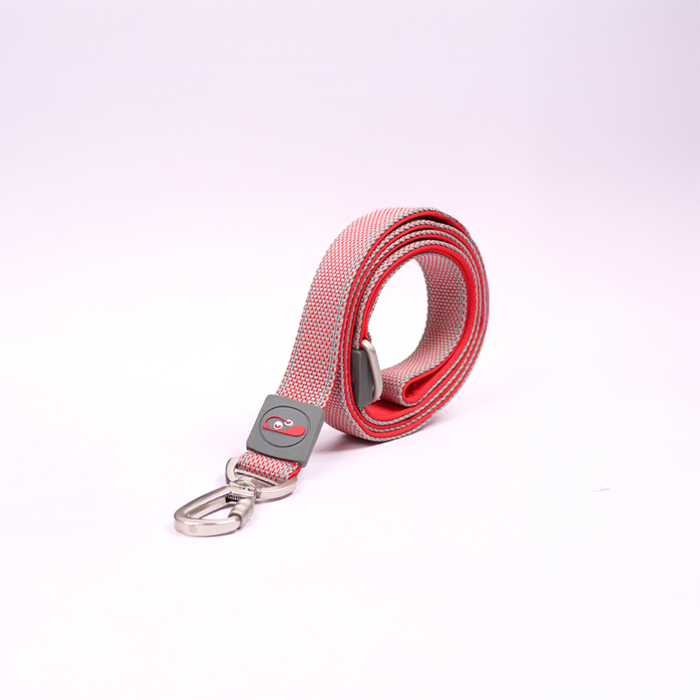 Skatrs Leash for Dogs (Red)