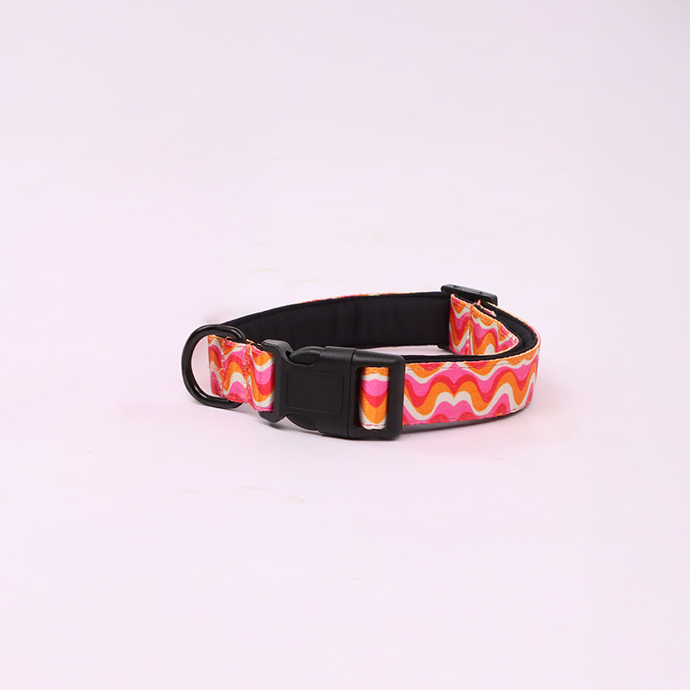 Skatrs Pop Groove Collar for Dogs & Cats