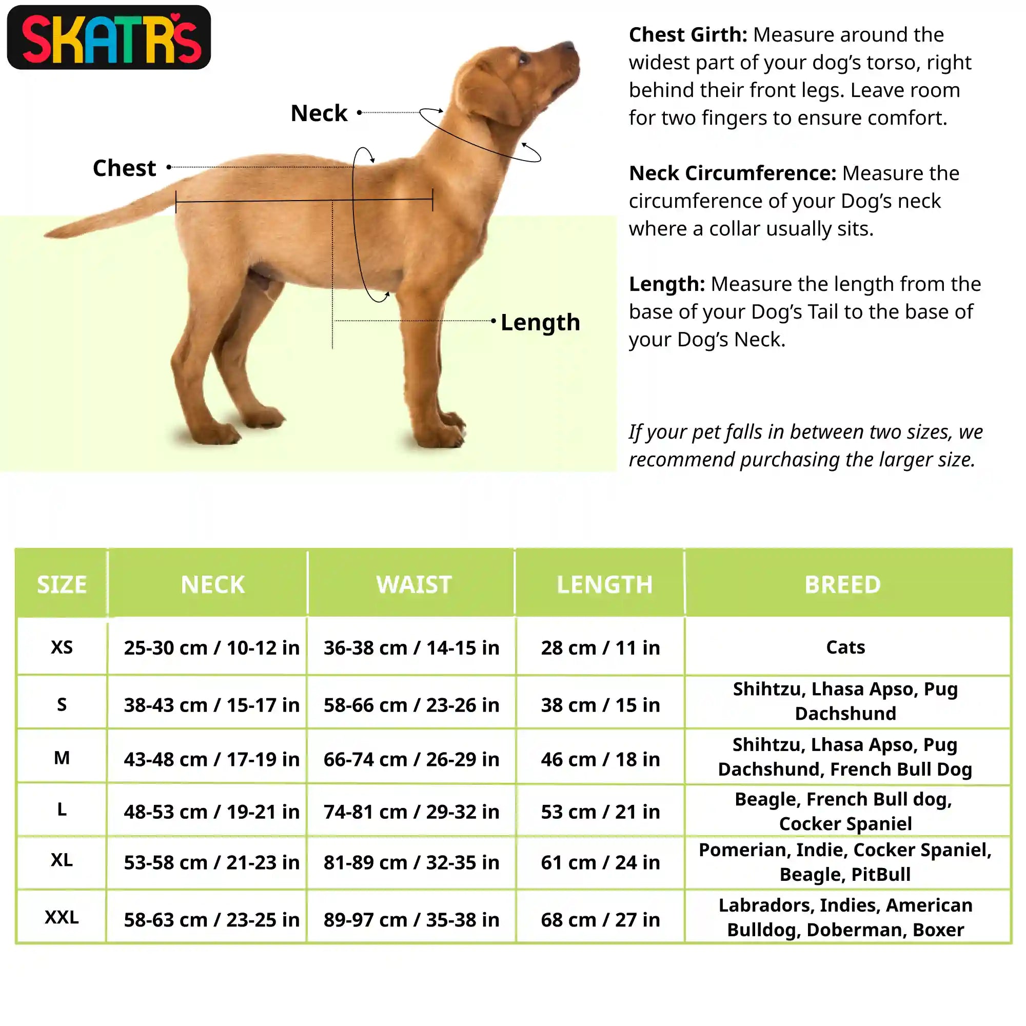 Skatrs Cotton Dress for Dogs and Cats (Lavender and White)